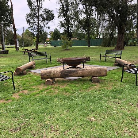 Отель Armidale Tourist Park Экстерьер фото