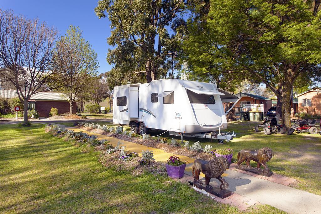 Отель Armidale Tourist Park Экстерьер фото