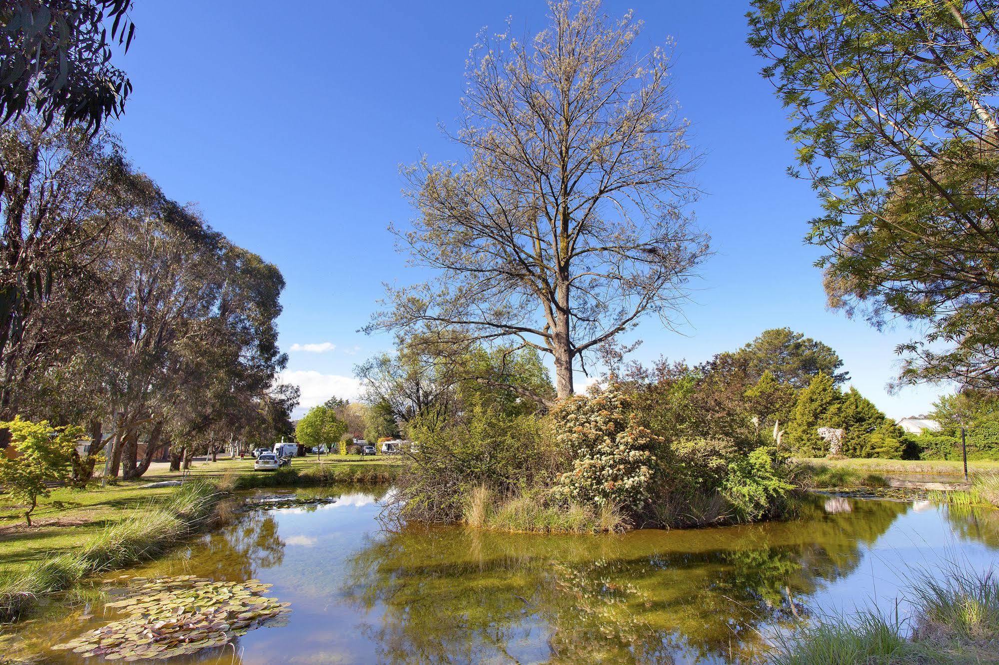 Отель Armidale Tourist Park Экстерьер фото